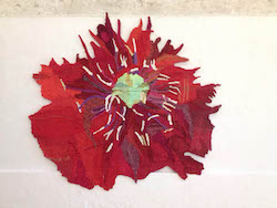 Papaver, 2013